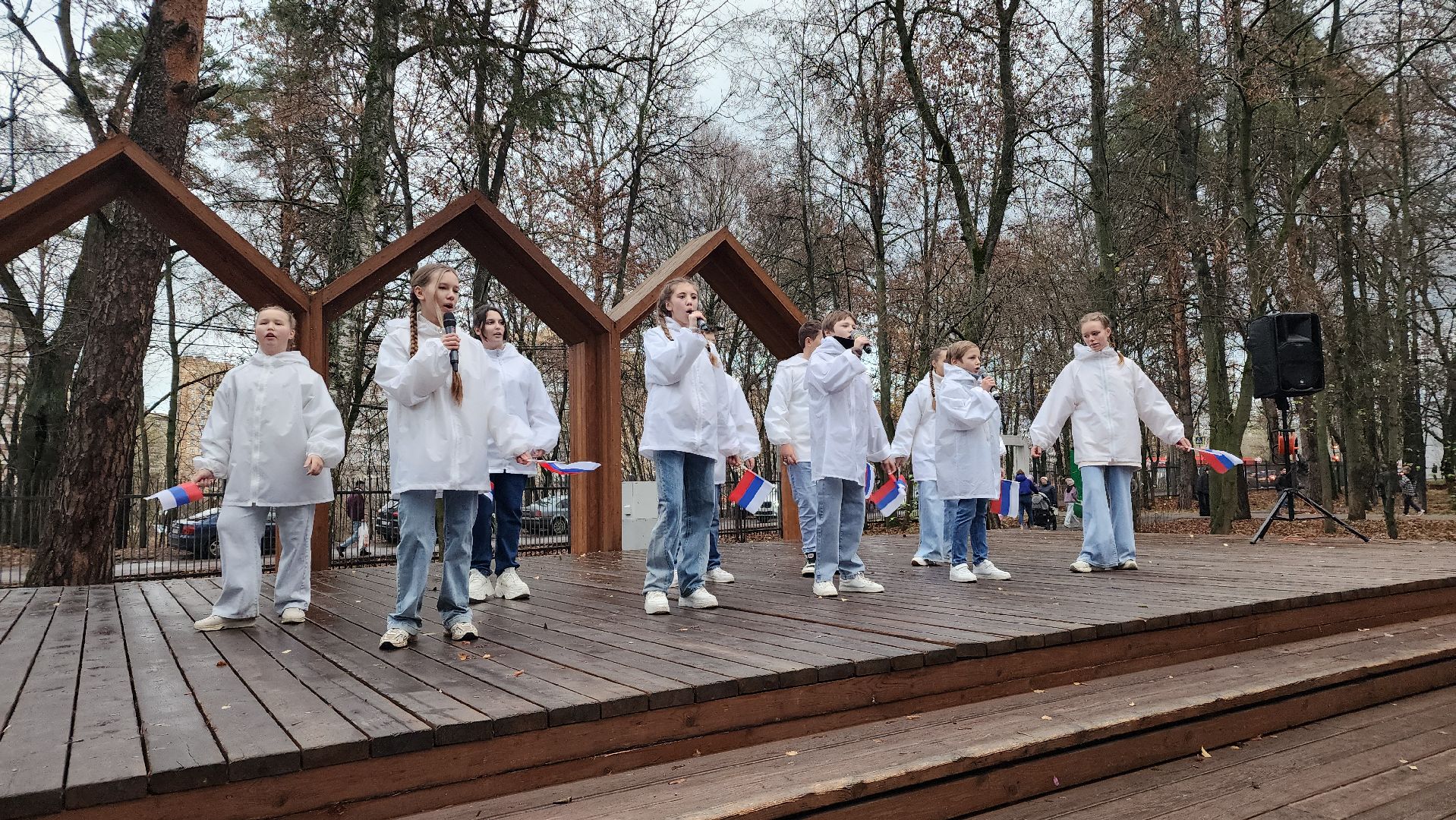 праздник, день народного  единства, лосино-петровский,
