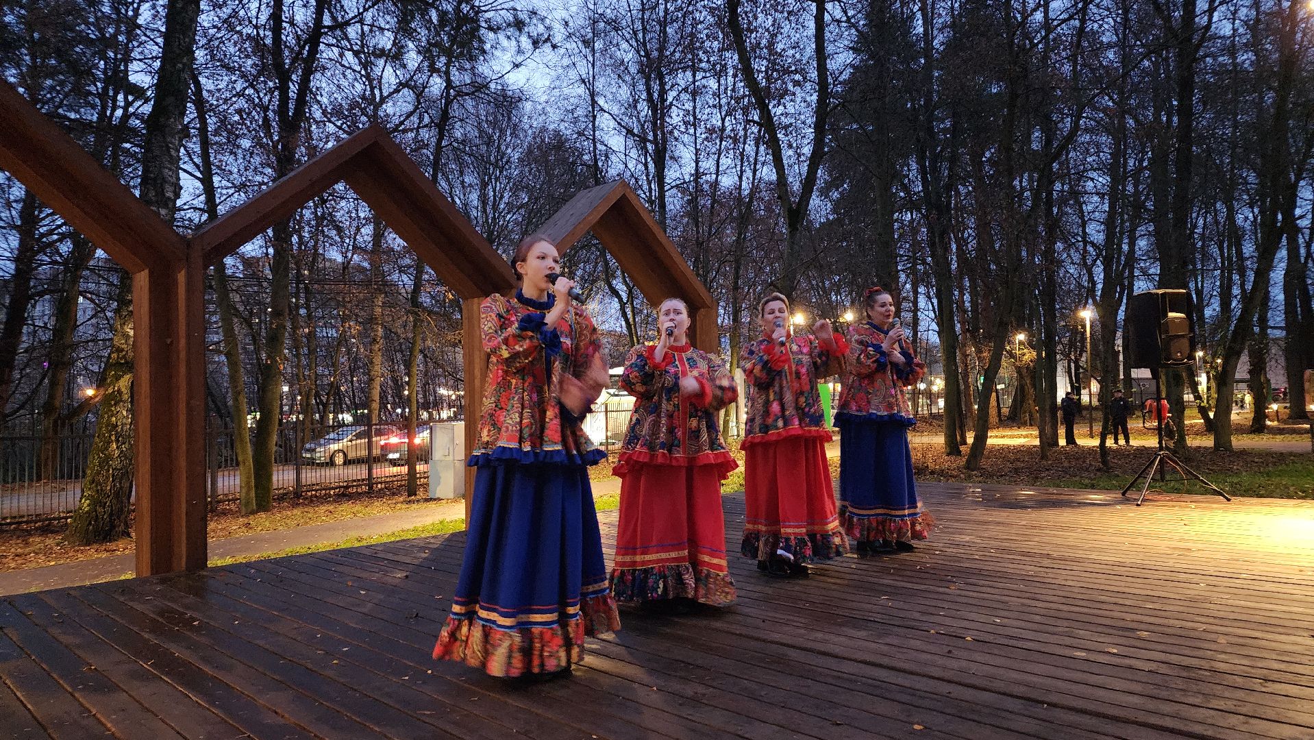 праздник, день народного  единства, лосино-петровский,