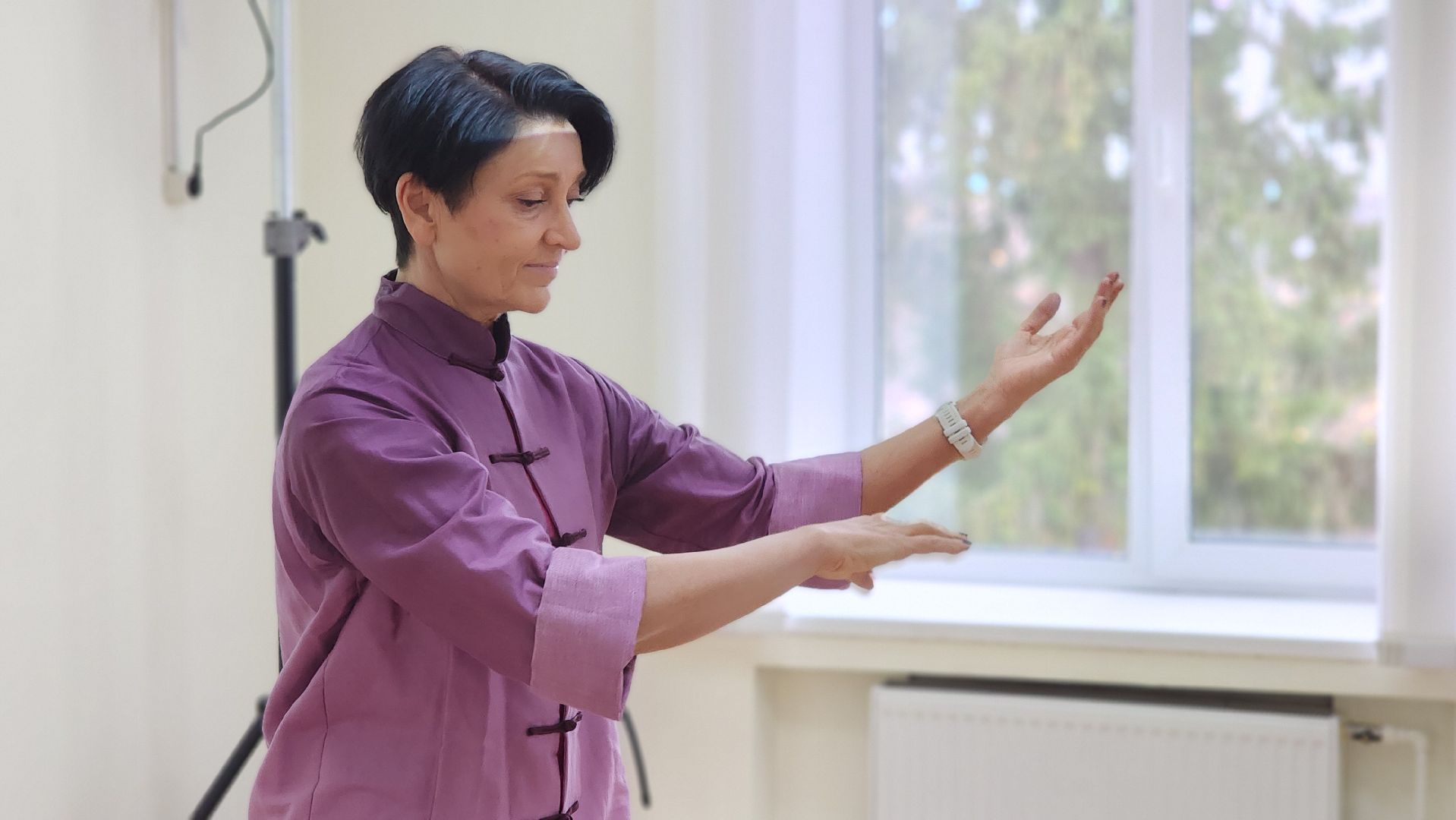 волоколамск, выставка картин, передернина, гохуа,