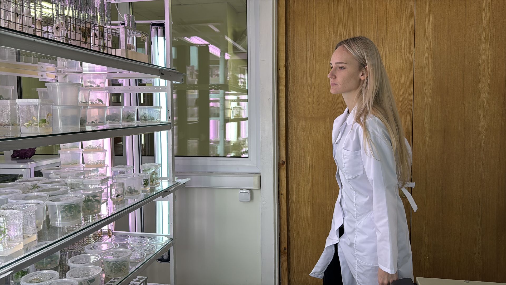 Прорыв в науке, Федеральный научный центр овощеводства, Молодые ученые,