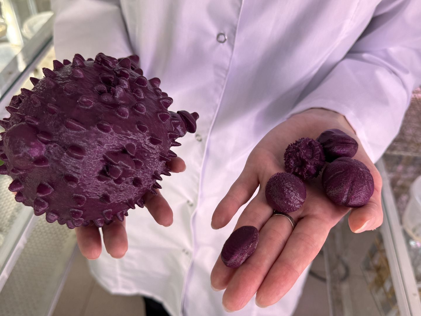 Прорыв в науке, Федеральный научный центр овощеводства, Молодые ученые,