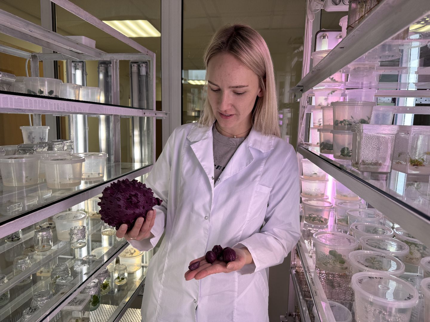 Прорыв в науке, Федеральный научный центр овощеводства, Молодые ученые,