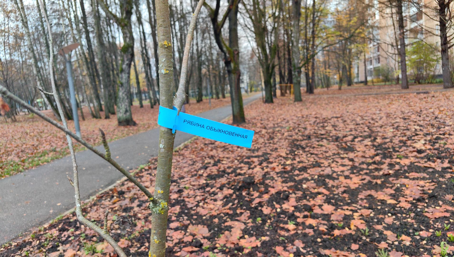 тепловые сети, ремонт, канализация, парковка, благоуйстройство,