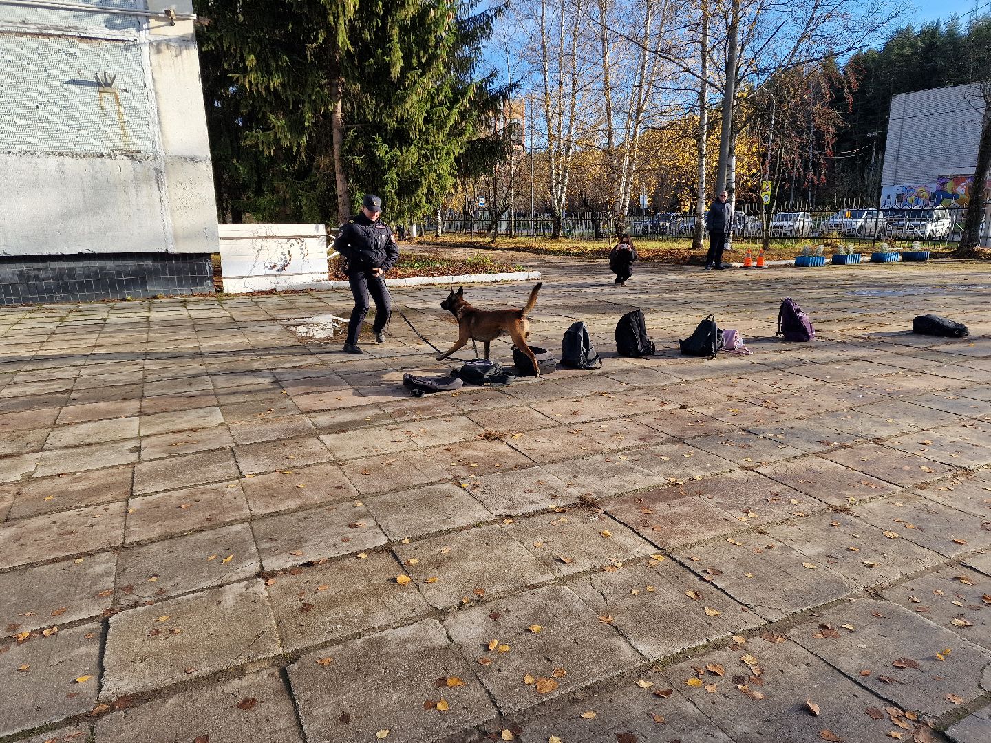 ДеньОВД, Деньполиции, Дубна,