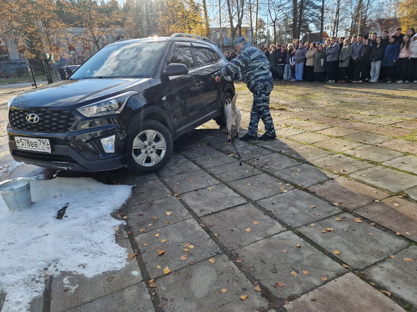 ДеньОВД, Деньполиции, Дубна,