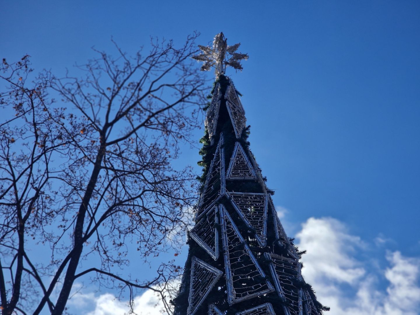 в парке пехорка балашихи установили новогоднюю елку 2025, балашиха,