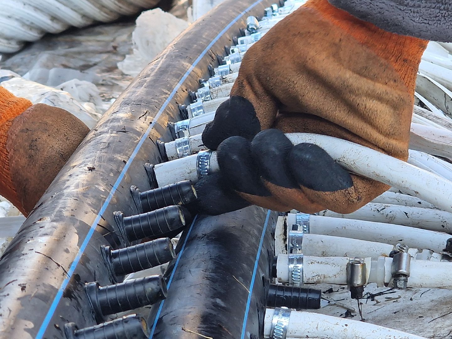 в парке пехорка балашихи устанавливают каток 2025, балашиха парк пехорка,