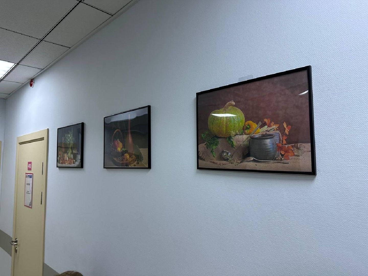 медицина, культура, фотовыставка, домодедово,