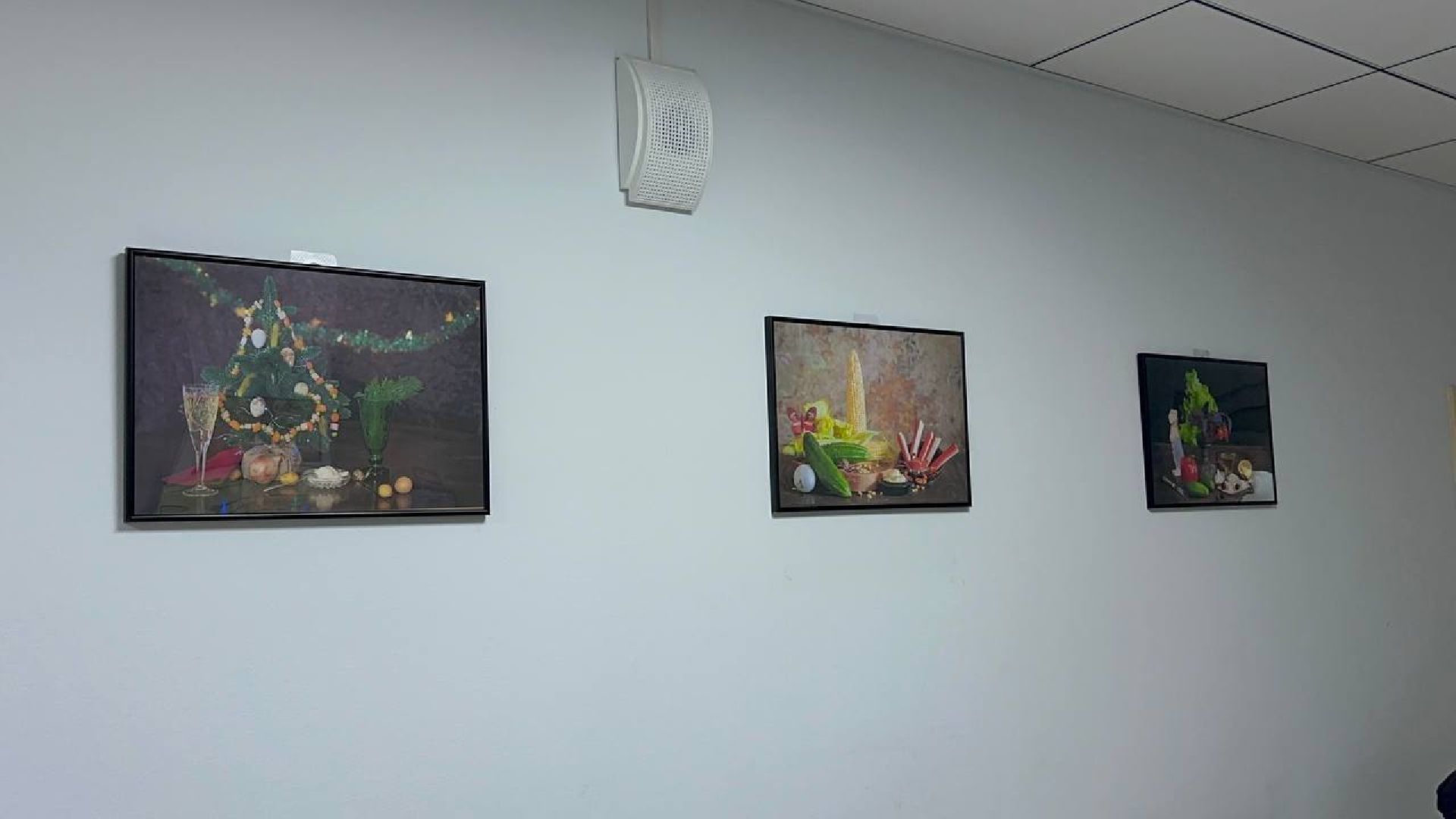 медицина, культура, фотовыставка, домодедово,