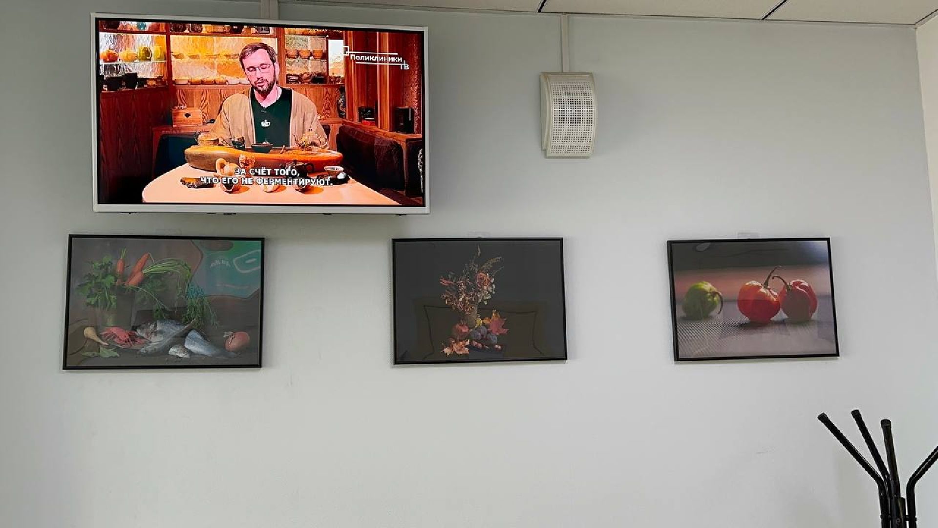 медицина, культура, фотовыставка, домодедово,