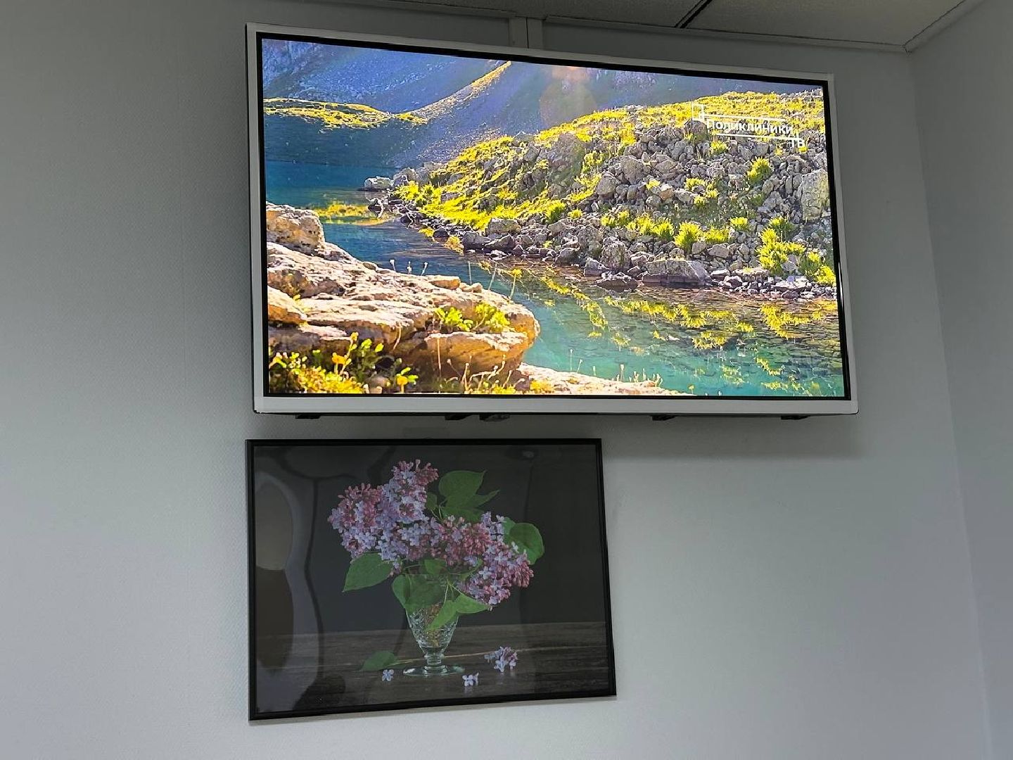 медицина, культура, фотовыставка, домодедово,