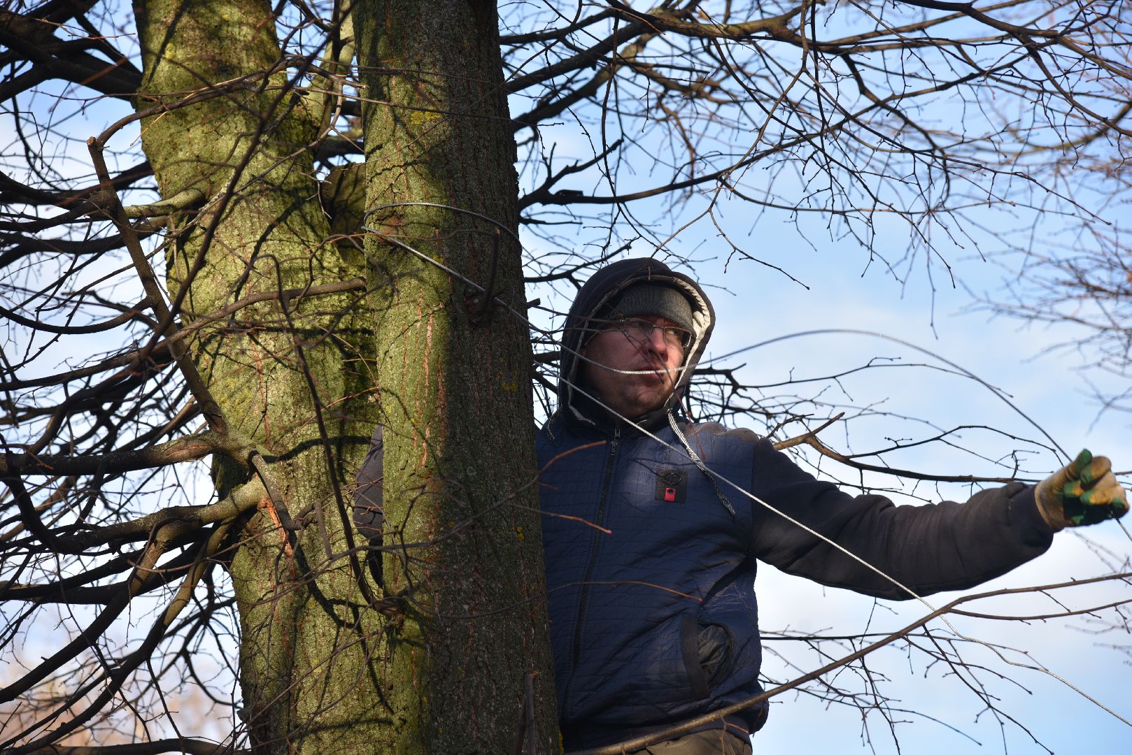 лотошино, благоустройство, новый год, лотошинский цдк,