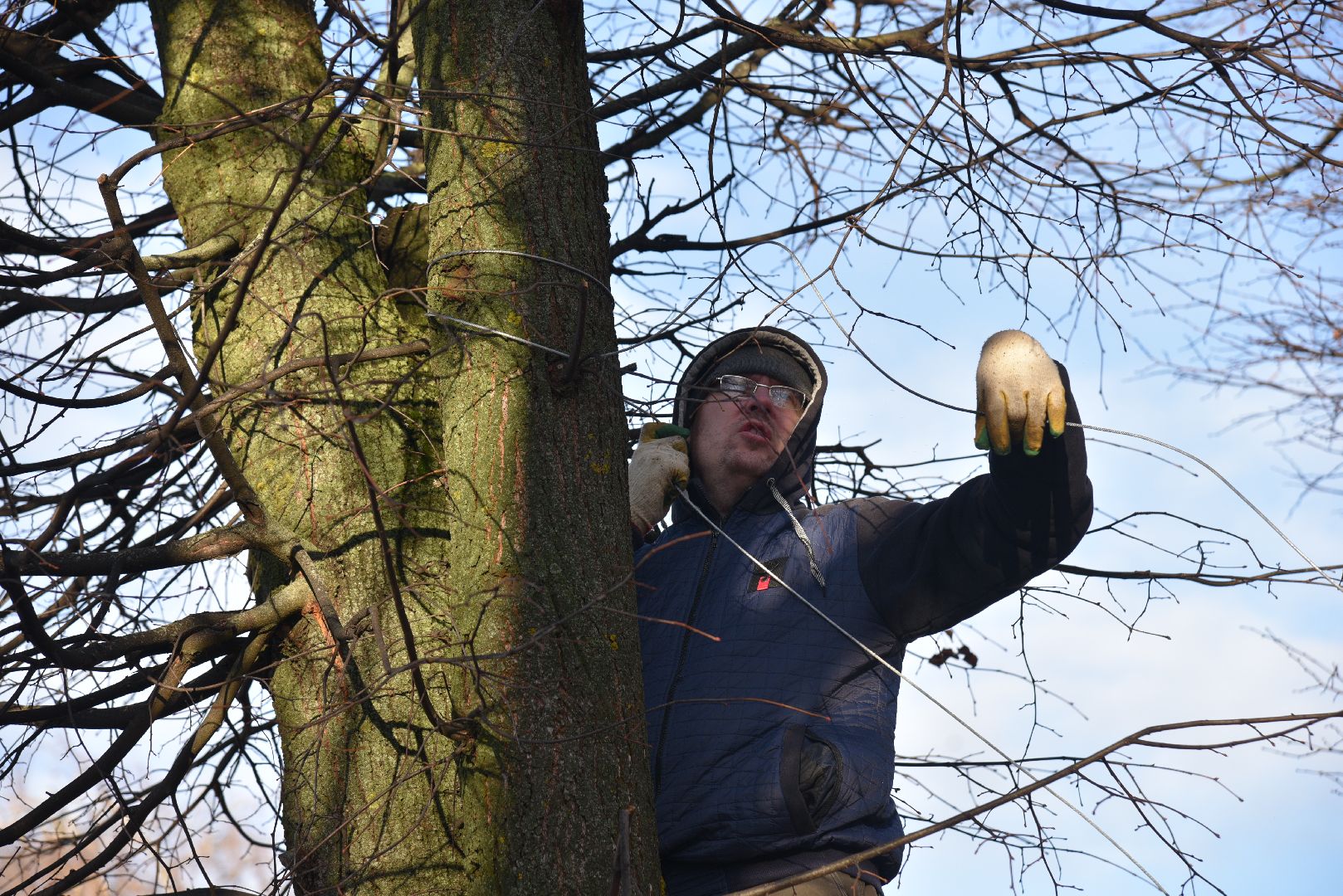 лотошино, благоустройство, новый год, лотошинский цдк,