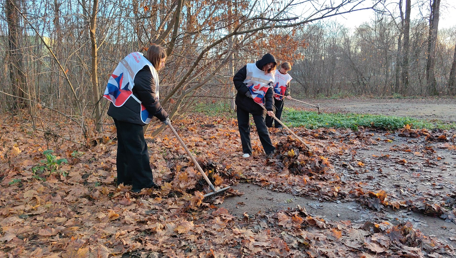 центр, субботник, грабли, мешки, мусор, день народного единства,