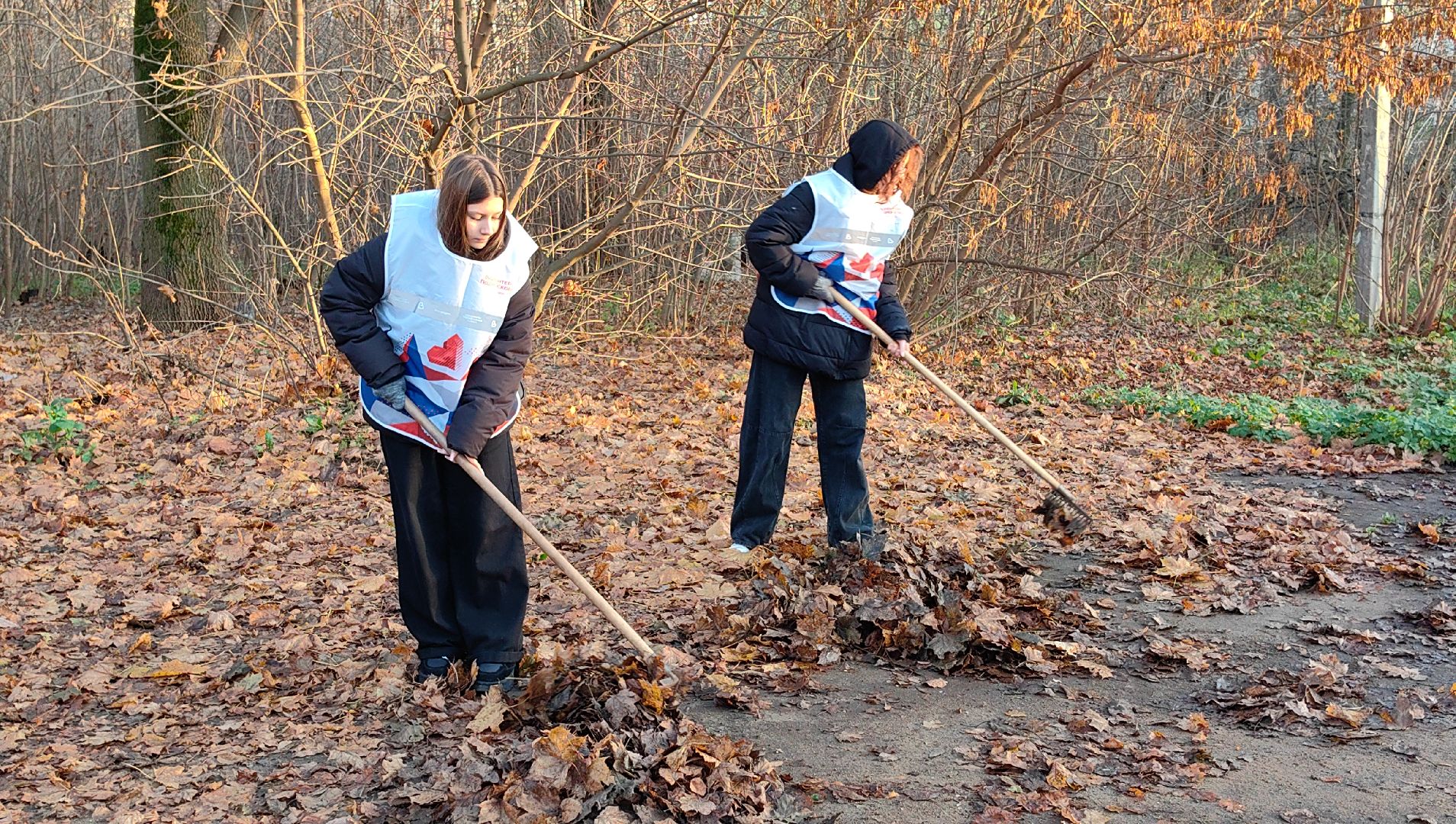 центр, субботник, грабли, мешки, мусор, день народного единства,