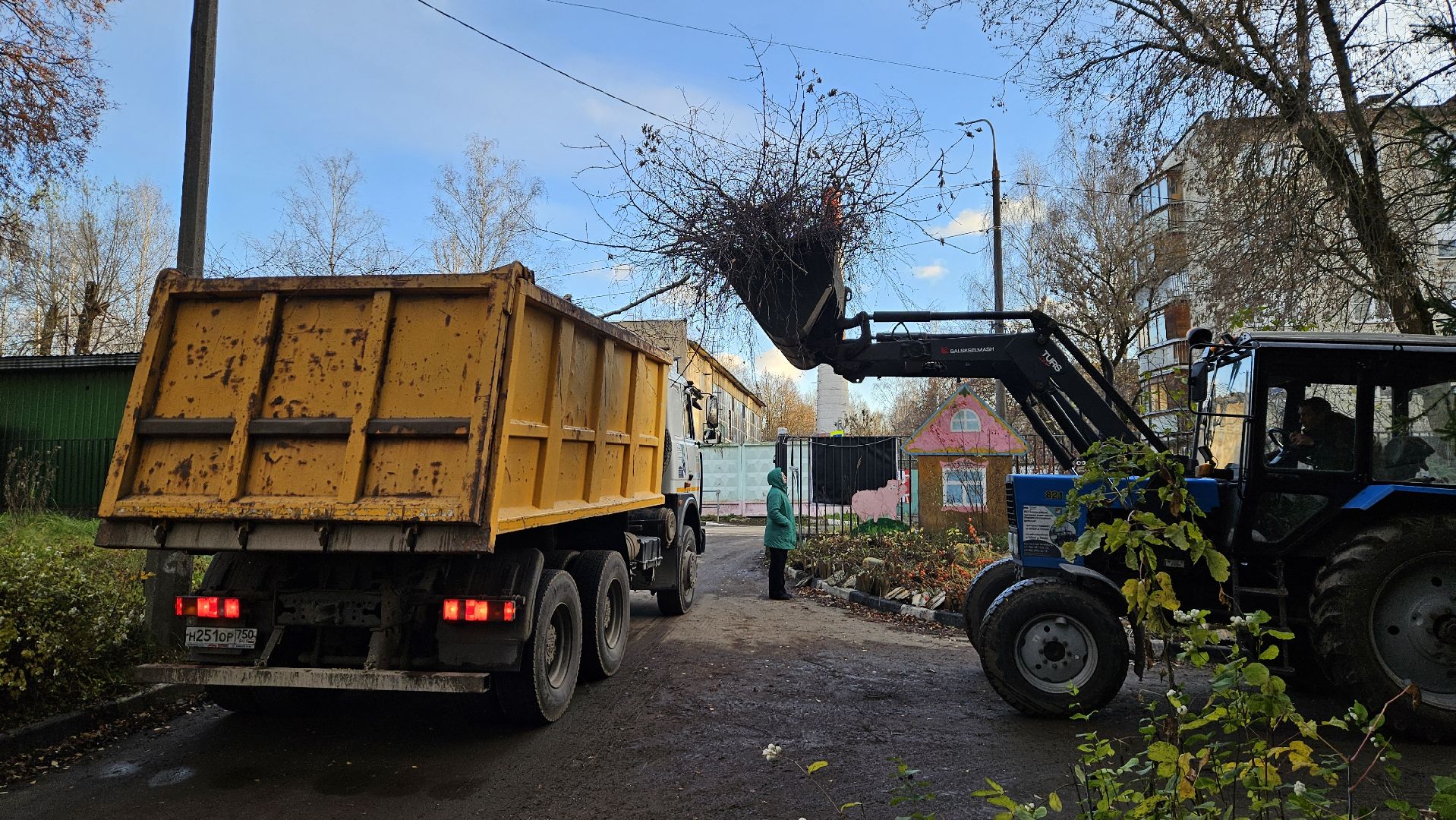 долгопрудный, детский сад 6 звездочка, аварийные деревья, благоустройство,