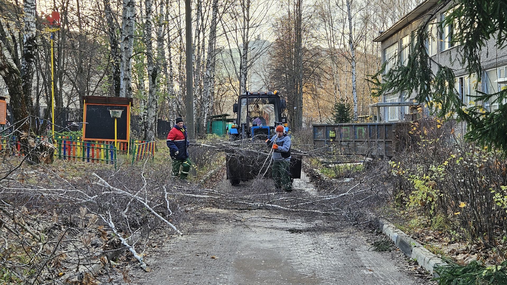 долгопрудный, детский сад 6 звездочка, аварийные деревья, благоустройство,