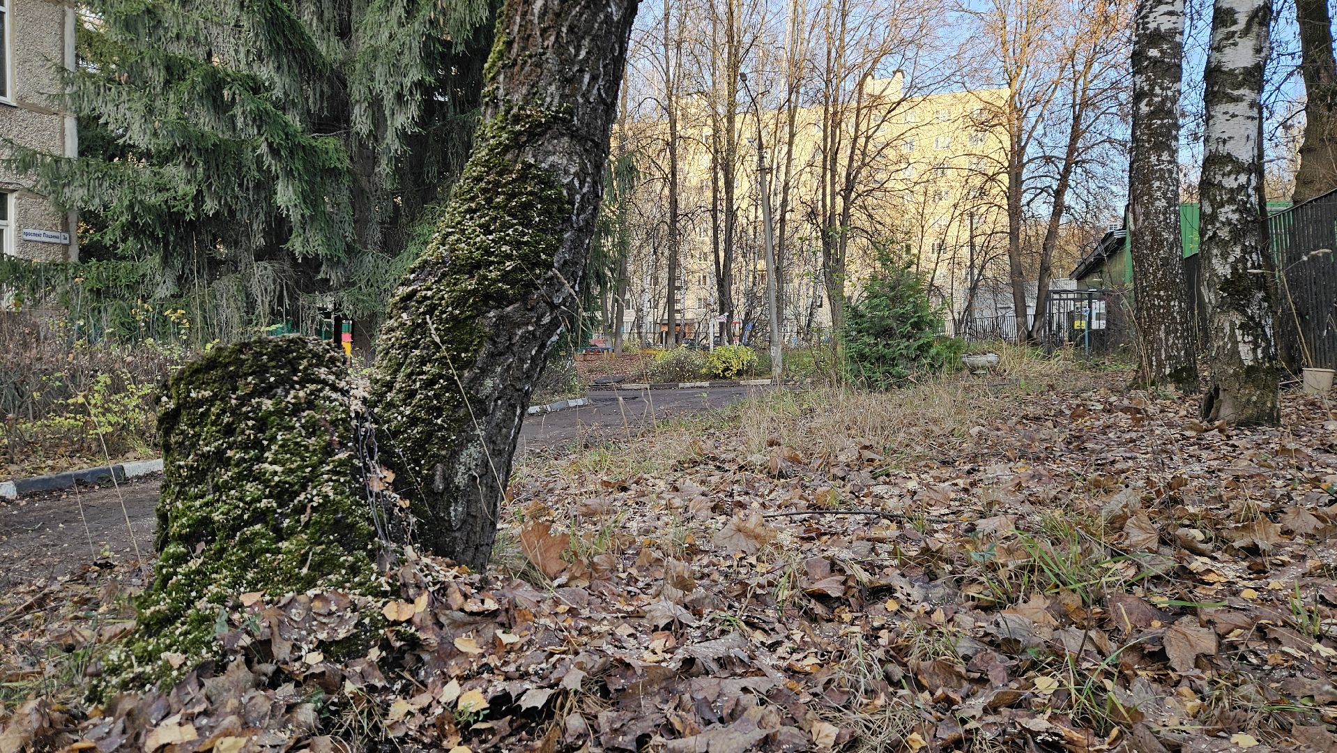 долгопрудный, детский сад 6 звездочка, аварийные деревья, благоустройство,