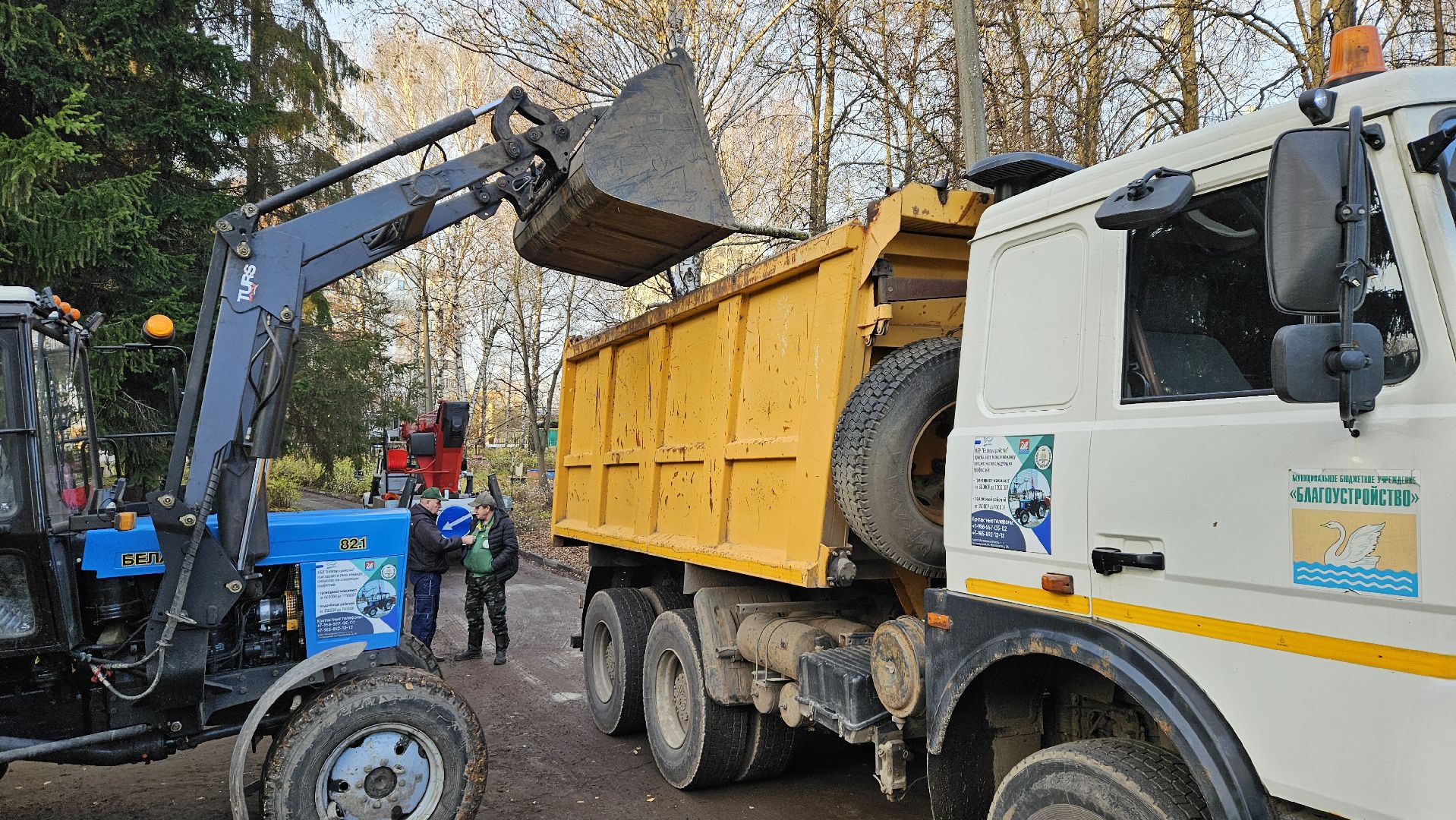 долгопрудный, детский сад 6 звездочка, аварийные деревья, благоустройство,