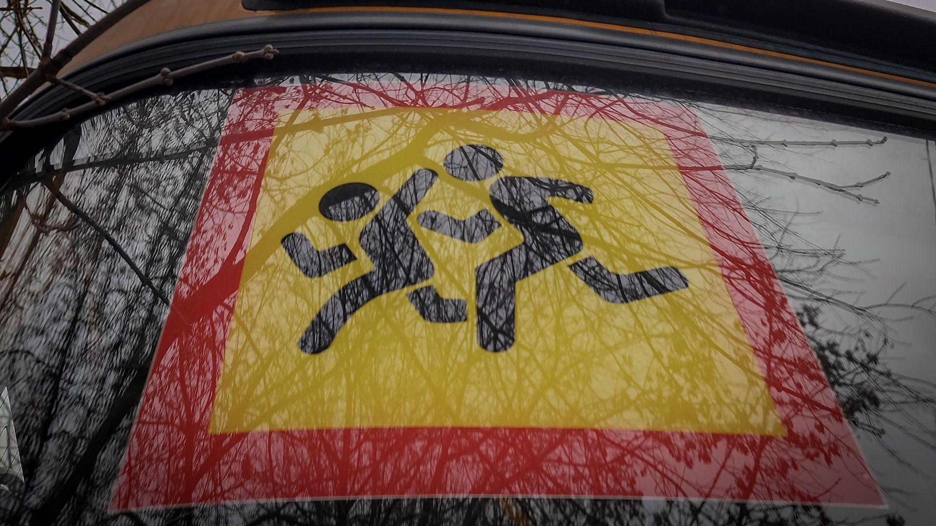 школьный автобус , никитская школа, школьные автобусы раменский округ, дети,