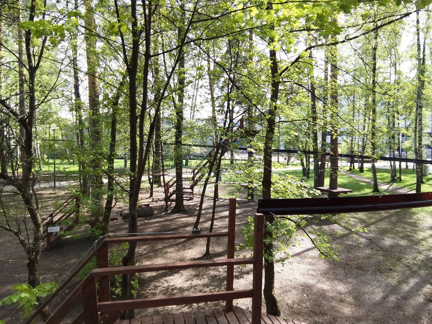 Балашиха, верёвочный парк, Пехорка, аттракцион, детский маршрут, смелый, отважный, роллер, воздушный аттракцион
