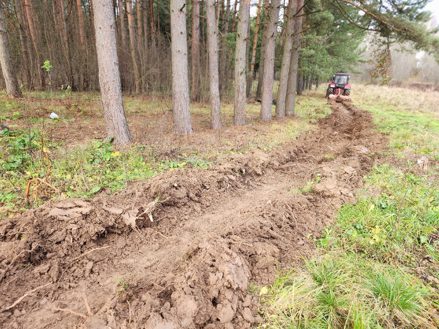 сергиев посад, сергиево-посадский городской округ, мособллес, сергиево-посадское лесничество, лесничий, противопожарные полосы, лесопарк загорское море, семхоз,минерализованные полосы,