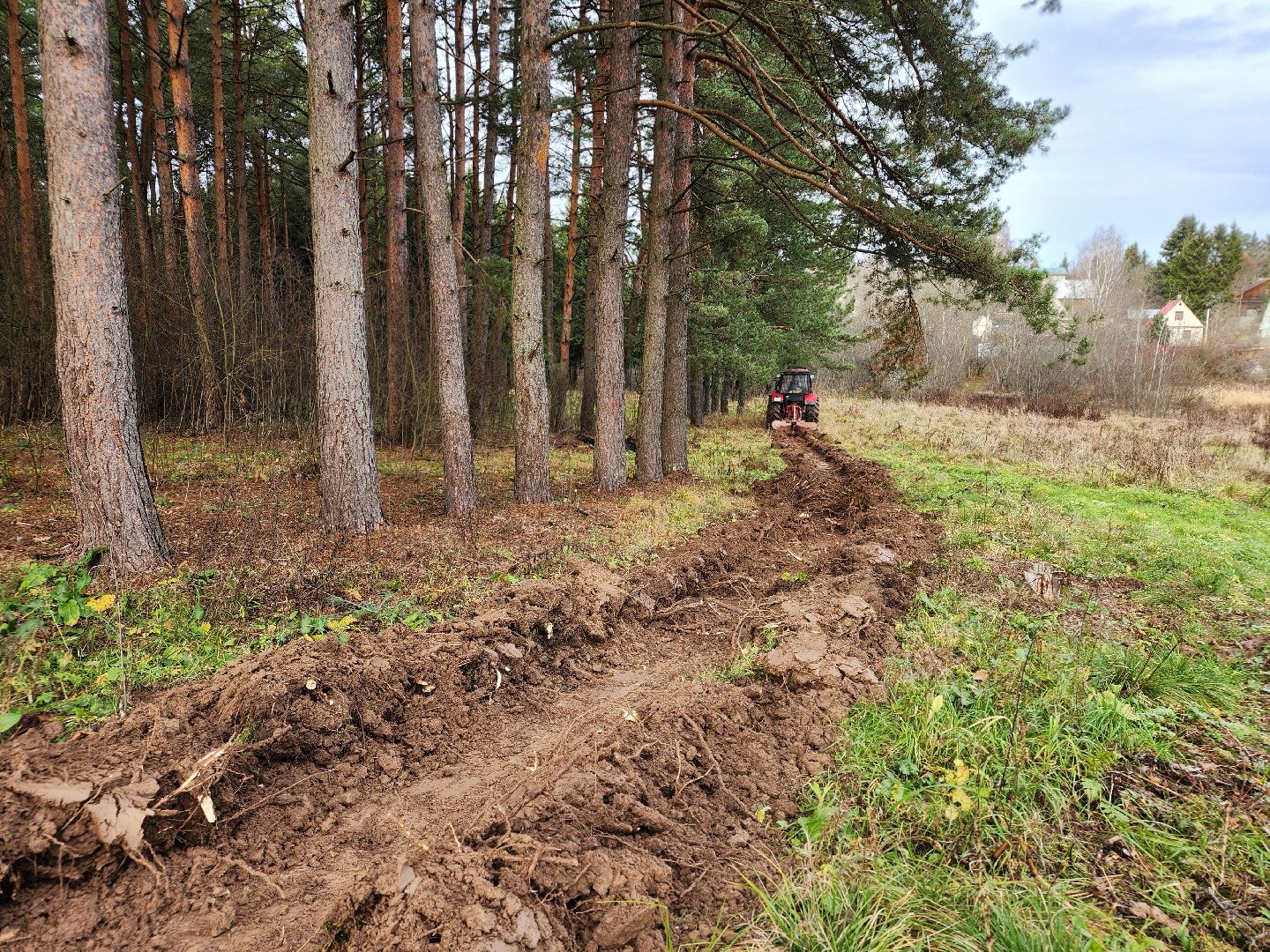 сергиев посад, сергиево-посадский городской округ, мособллес, сергиево-посадское лесничество, лесничий, противопожарные полосы, лесопарк загорское море, семхоз,минерализованные полосы,