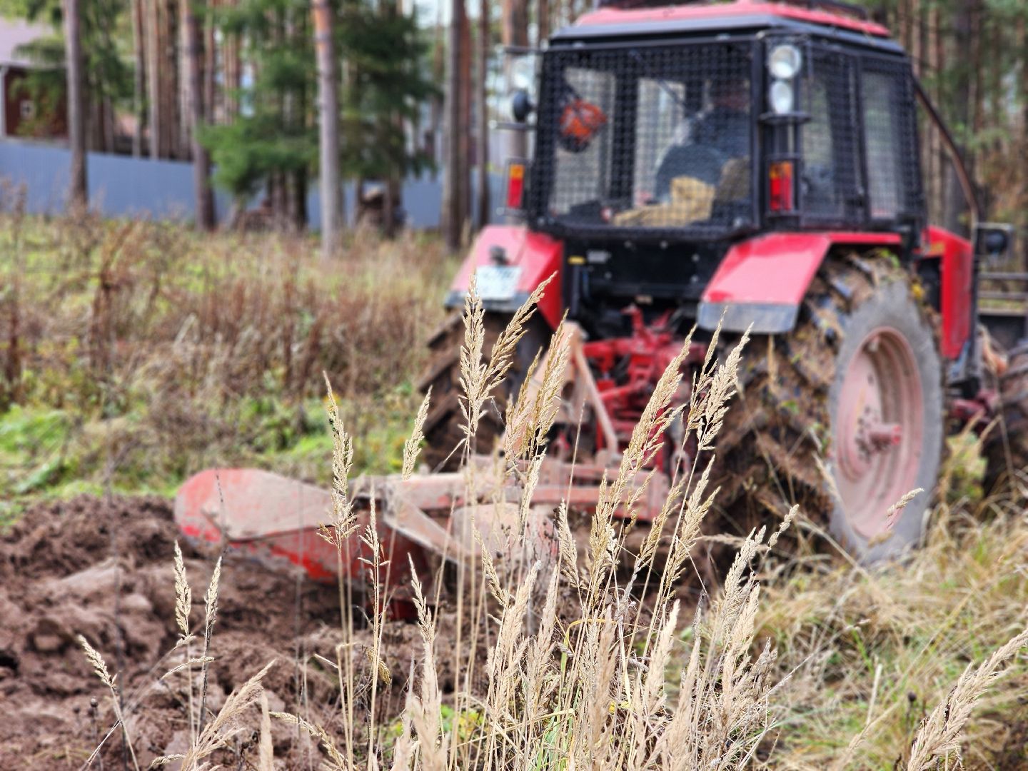 сергиев посад, сергиево-посадский городской округ, мособллес, сергиево-посадское лесничество, лесничий, противопожарные полосы, лесопарк загорское море, семхоз,минерализованные полосы,
