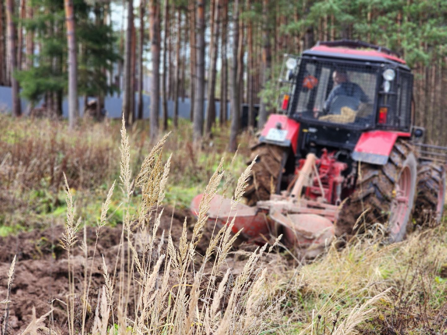 сергиев посад, сергиево-посадский городской округ, мособллес, сергиево-посадское лесничество, лесничий, противопожарные полосы, лесопарк загорское море, семхоз,минерализованные полосы,