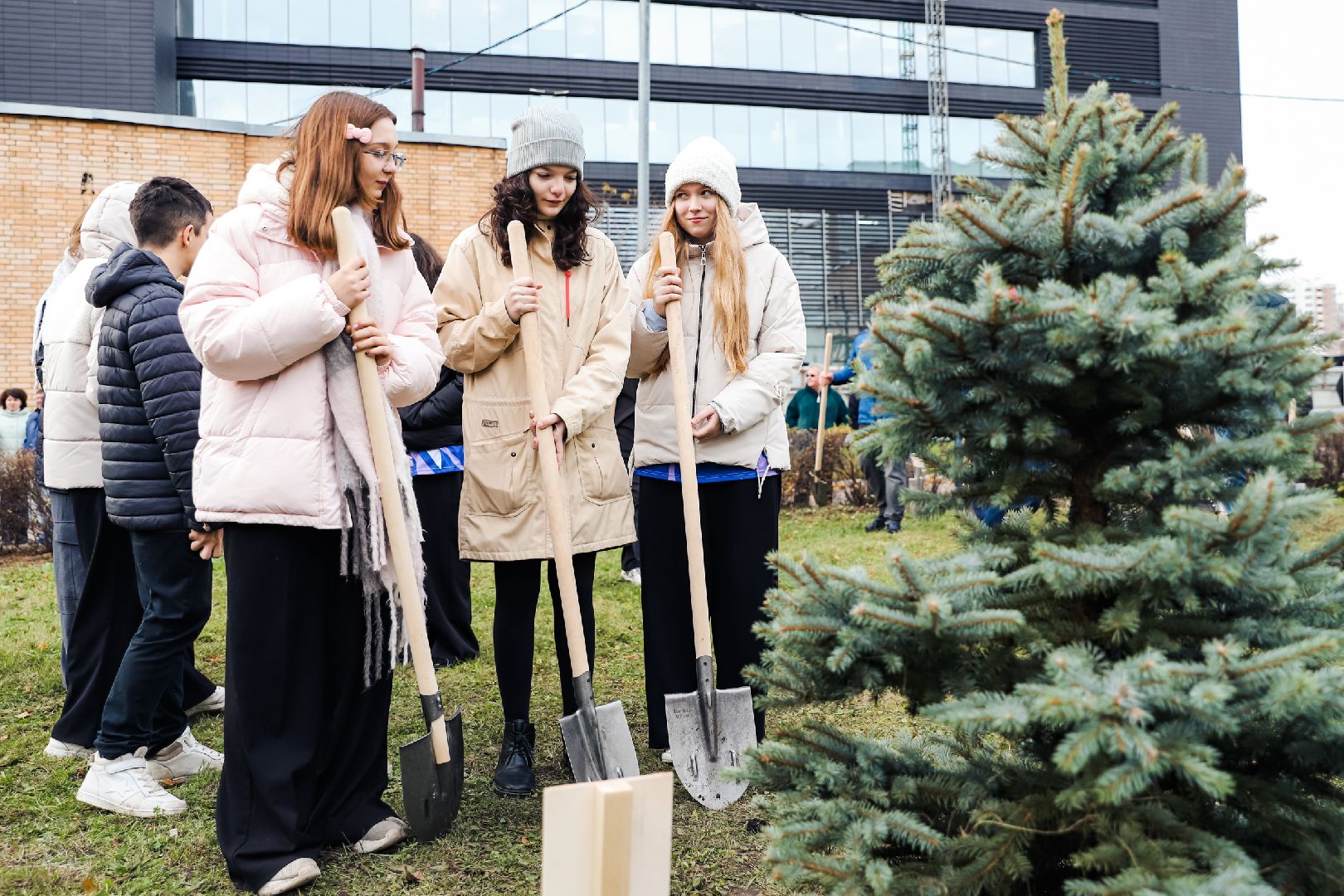 лес, деревья, память, сво,
