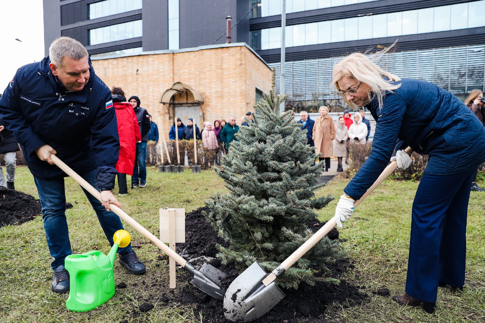лес, деревья, память, сво,
