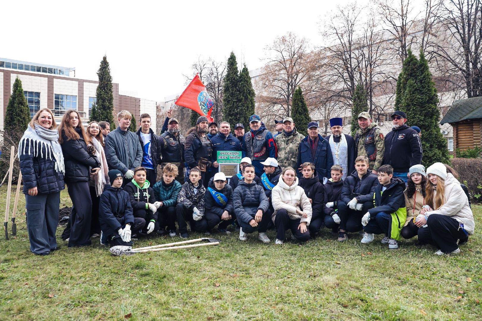 лес, деревья, память, сво,
