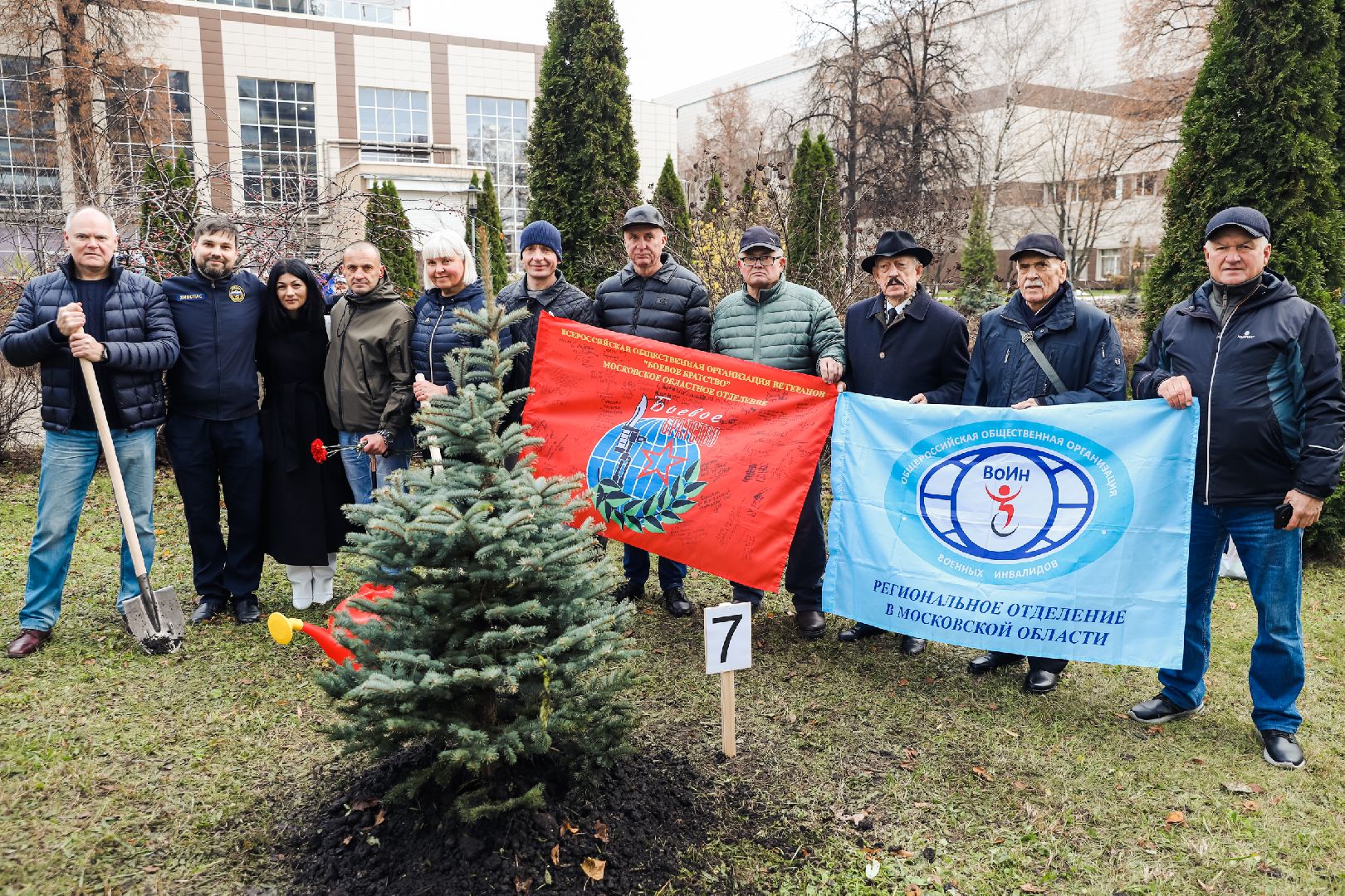 лес, деревья, память, сво,