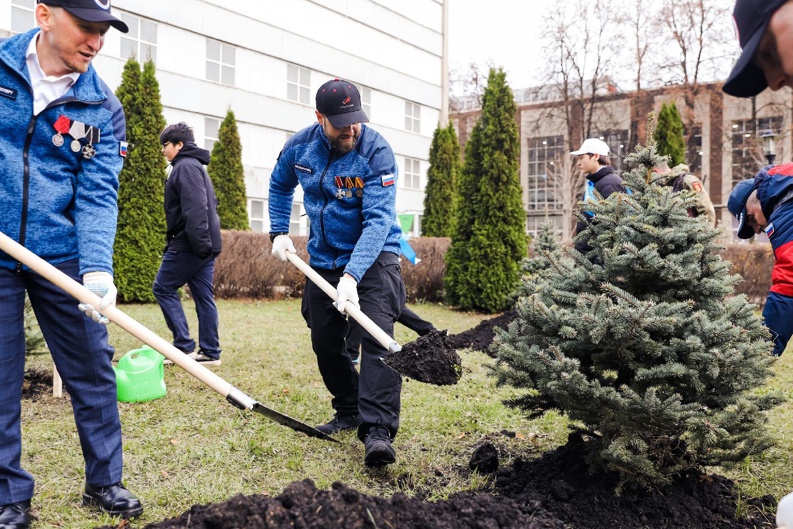 лес, деревья, память, сво,