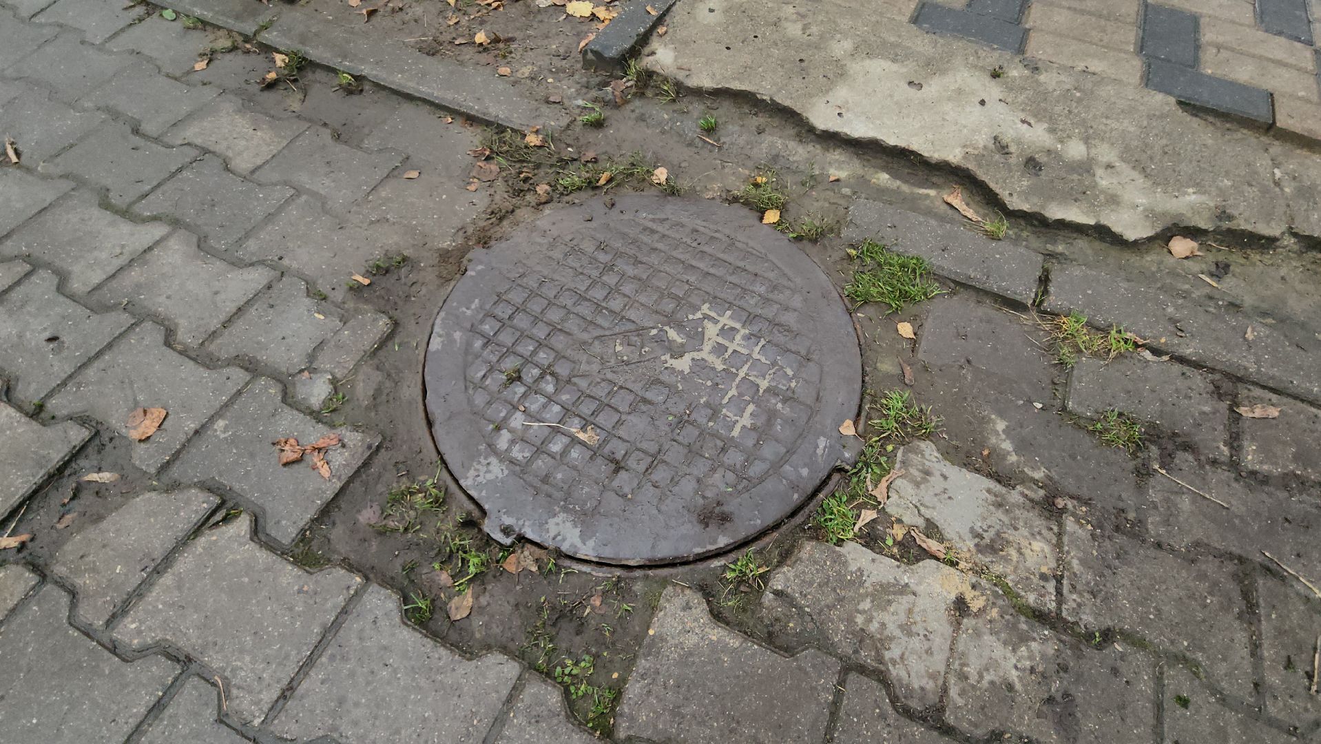 Истра, Благоустройство , Люк,