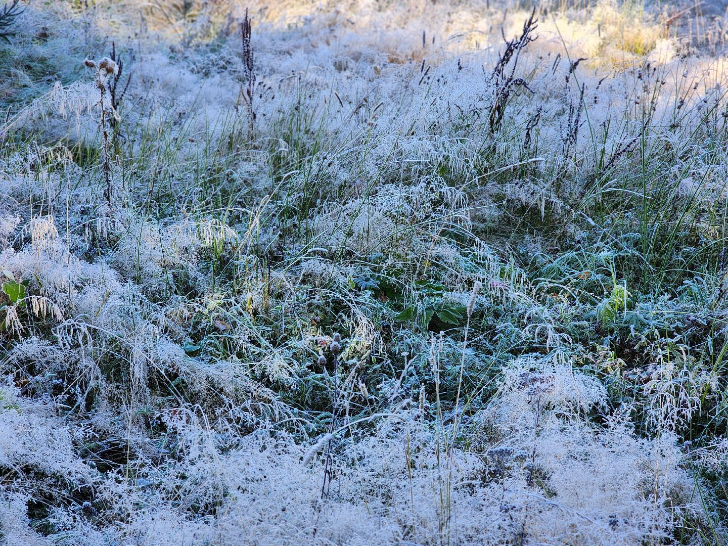 сергиев посад, сергиево-посадский городской округ, парк скитские пруды, лесопарк загорское море, зима в подмосковье, подготовка к зиме,