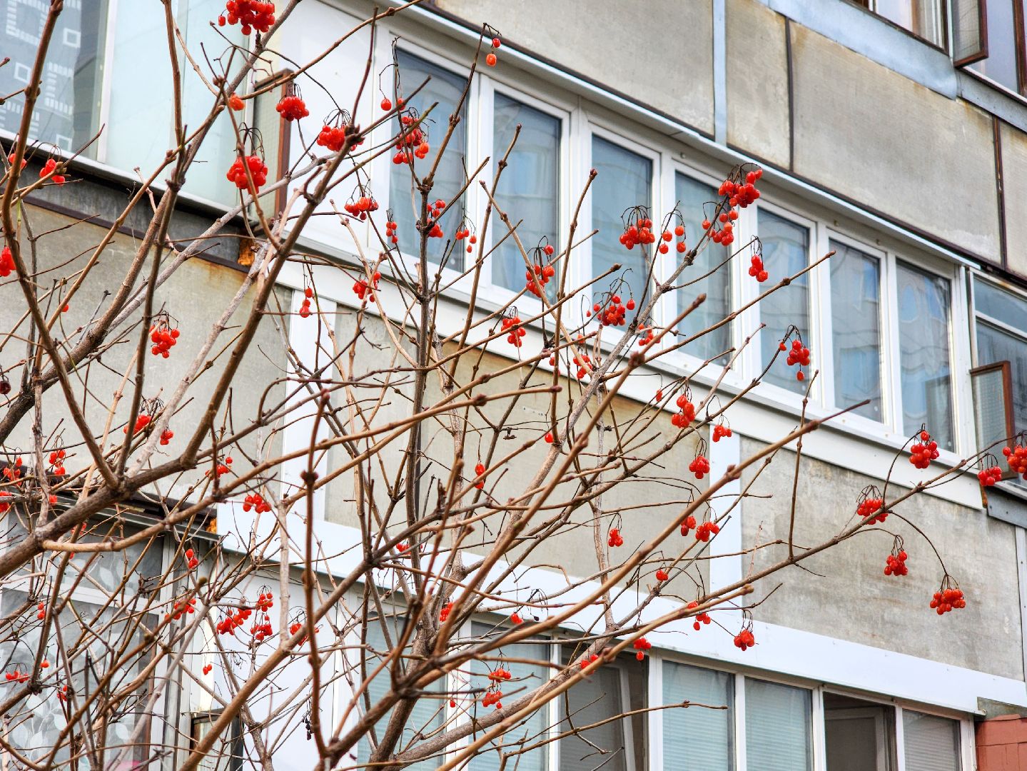 Подольск, Канализация, Коммунальщики,