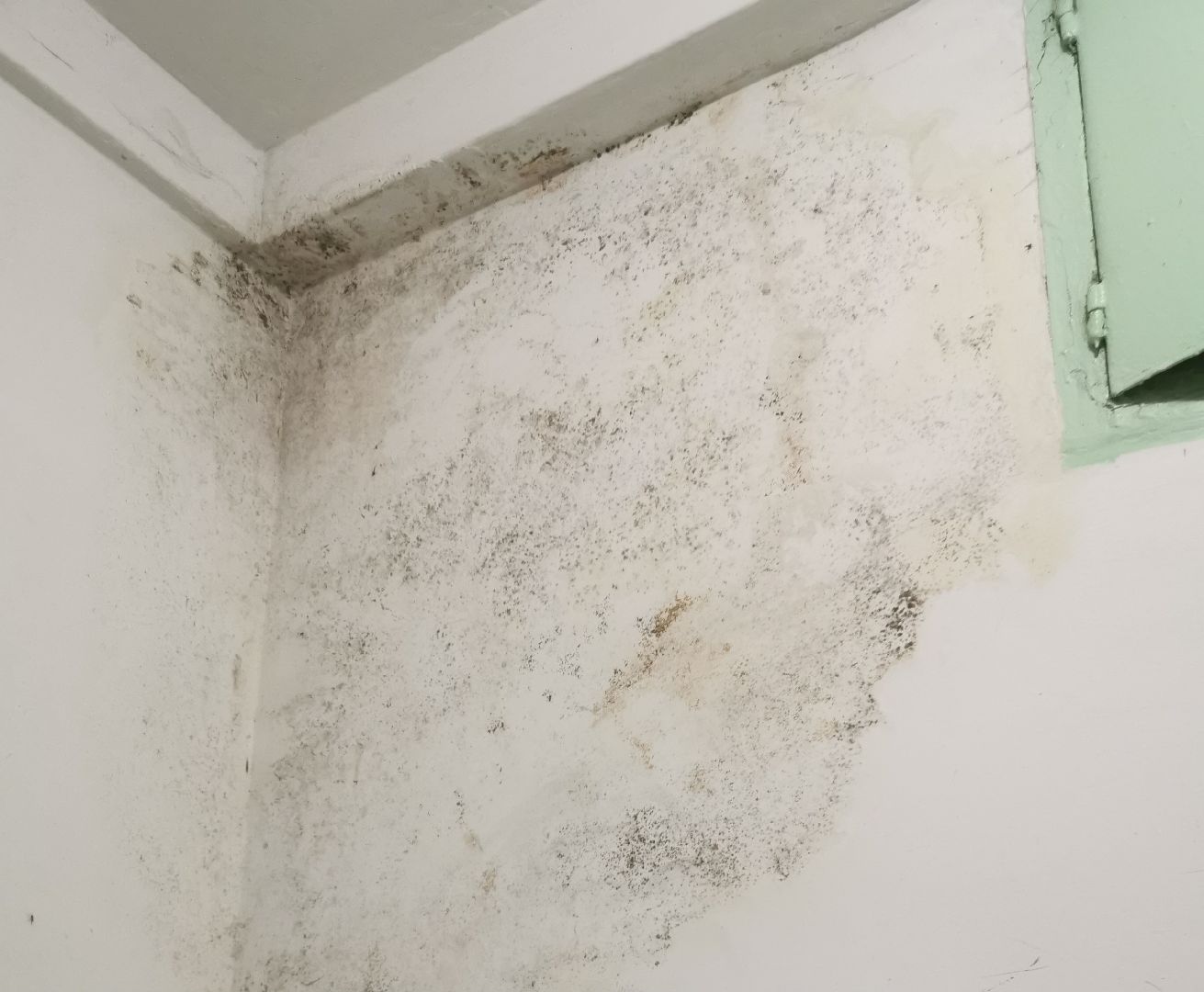 электросталь, жители, общество, власть, выездная администрация, жкх, благоустройство, ремонт,