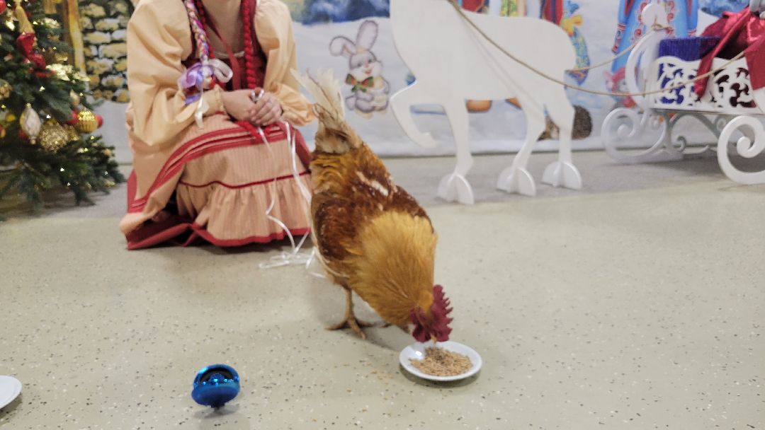 Красногорск