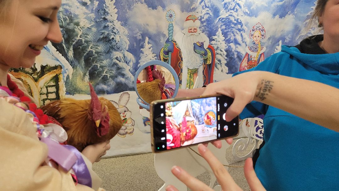 Красногорск