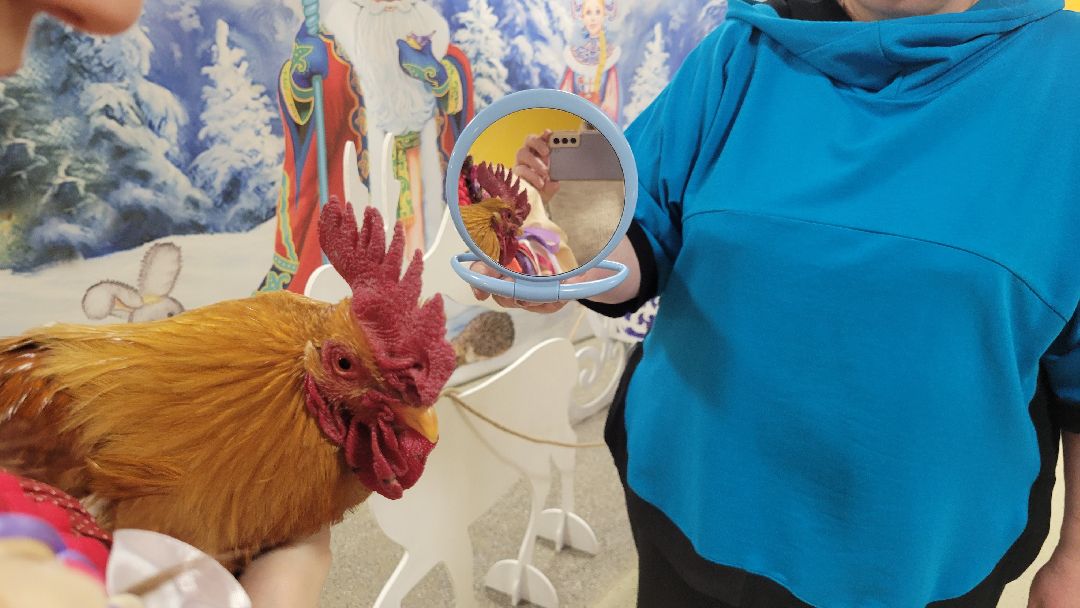 Красногорск