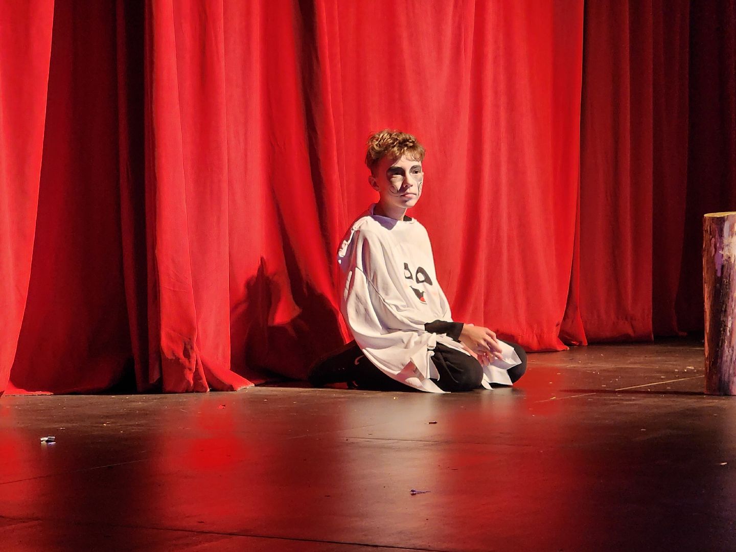 фрязино,  театральный фестиваль, спектакли, дети,