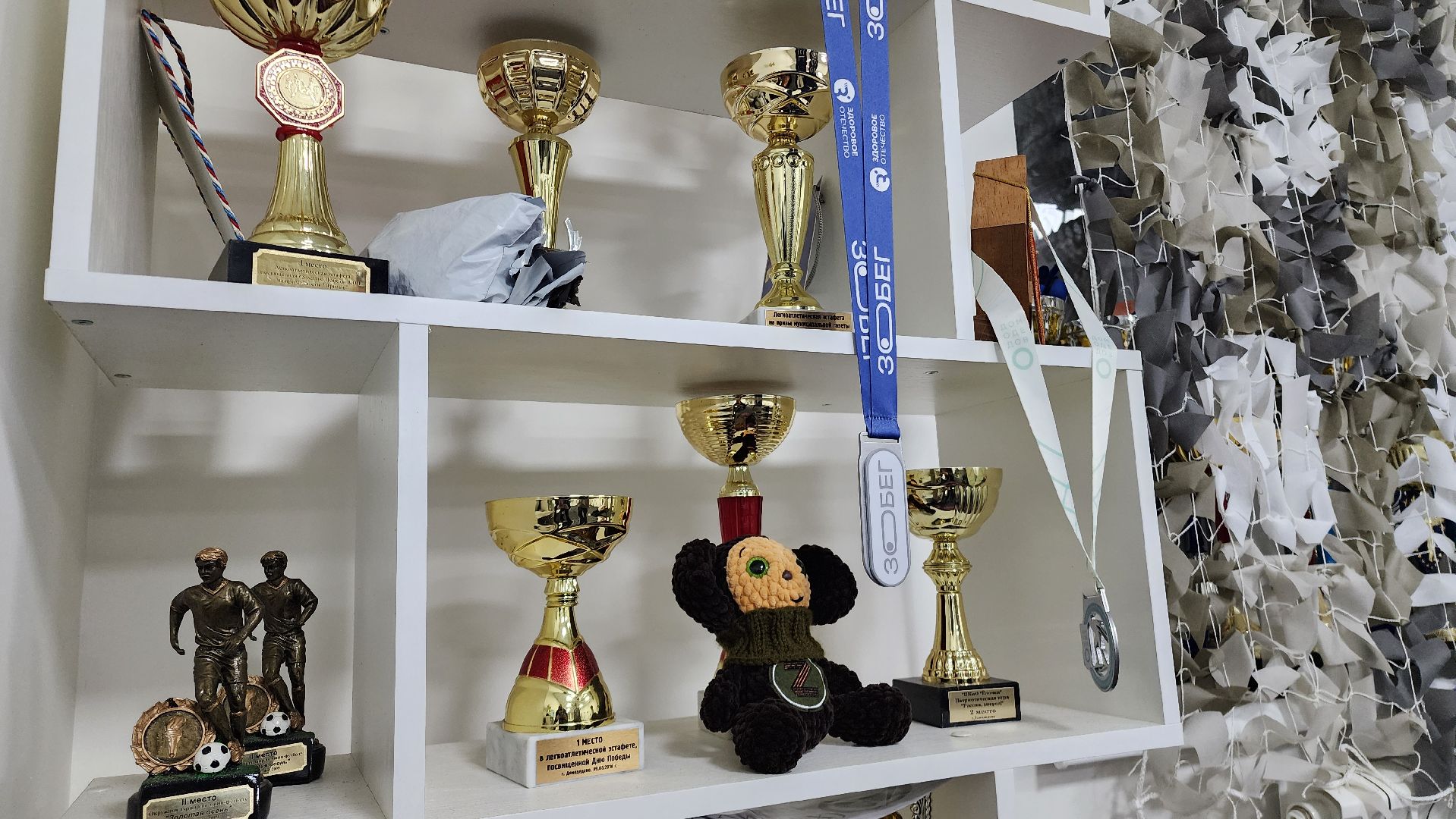 домодедово, кмж, клуб по месту жительства, народный жим, штанга,спорт, молодеж,