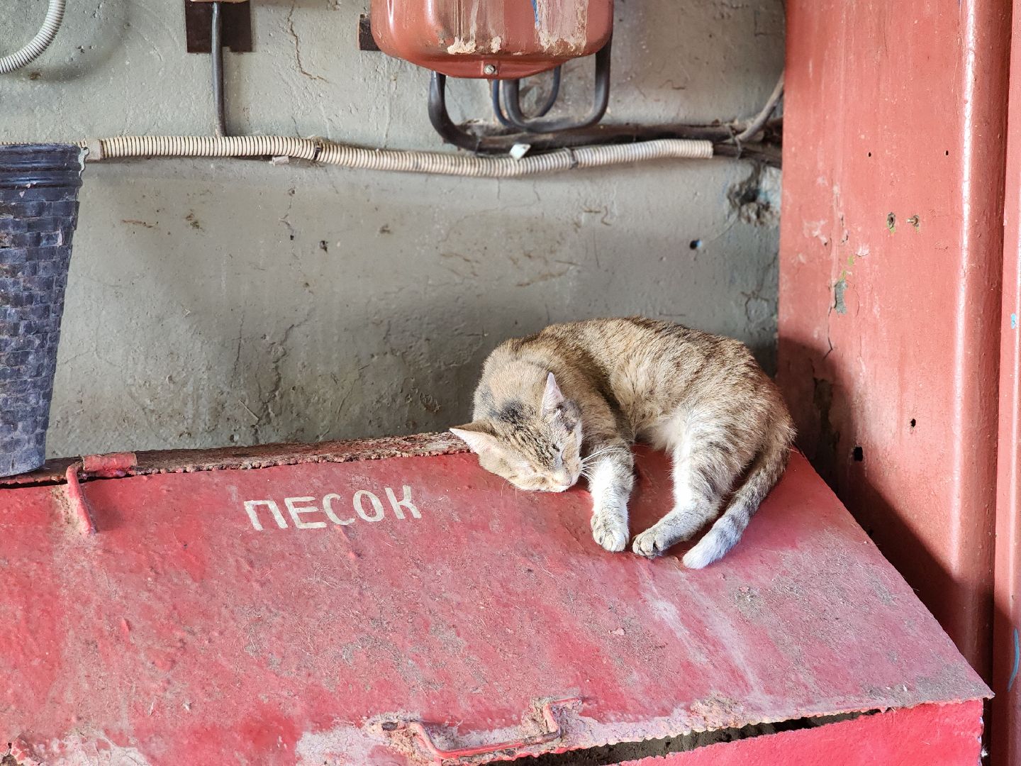 сергиев посад, сергиево-посадский городской округ, котельная, лесхоз, газпром теплоэнерго мо,
