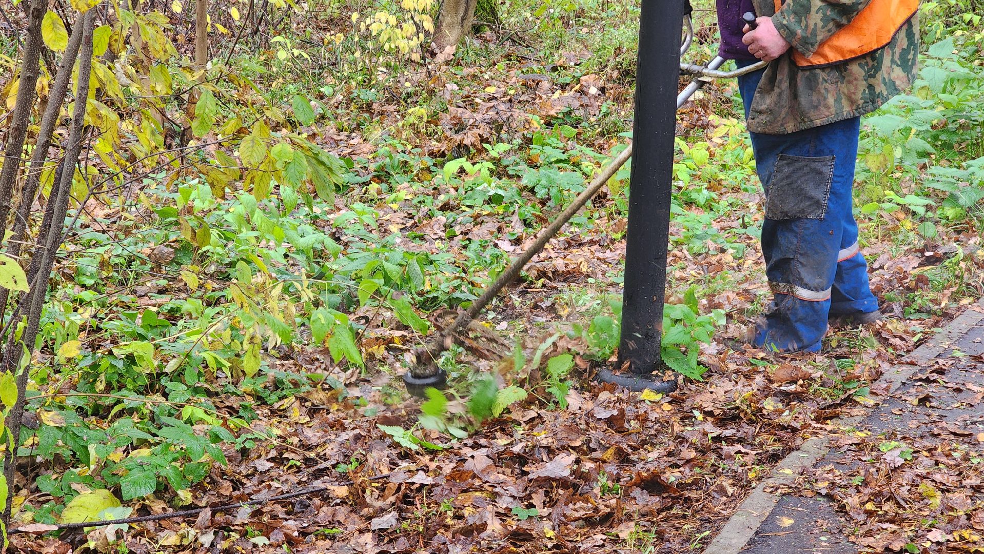 протвино, благоустройство, осенняя уборка,