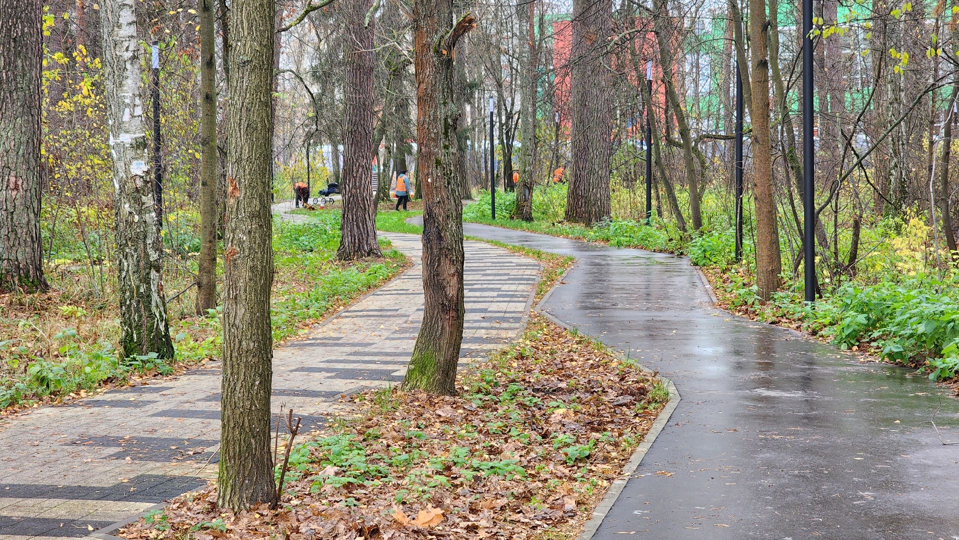 протвино, благоустройство, осенняя уборка,