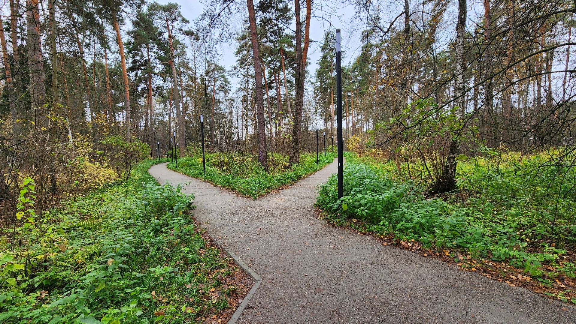 протвино, благоустройство, осенняя уборка,