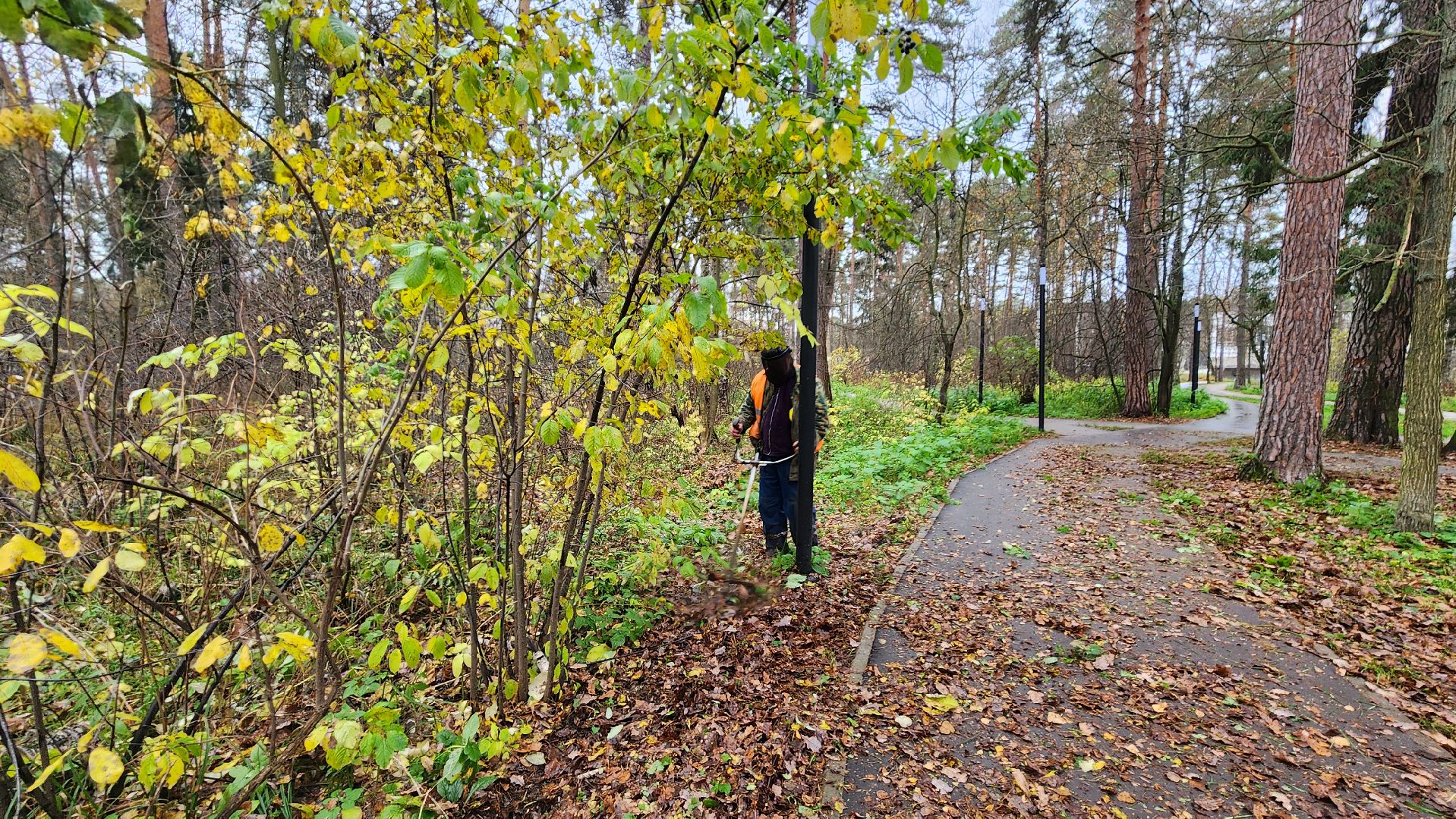 протвино, благоустройство, осенняя уборка,