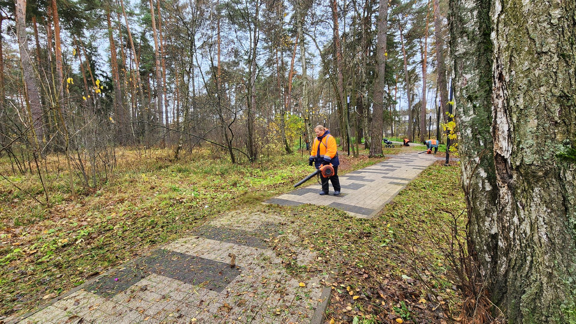 протвино, благоустройство, осенняя уборка,