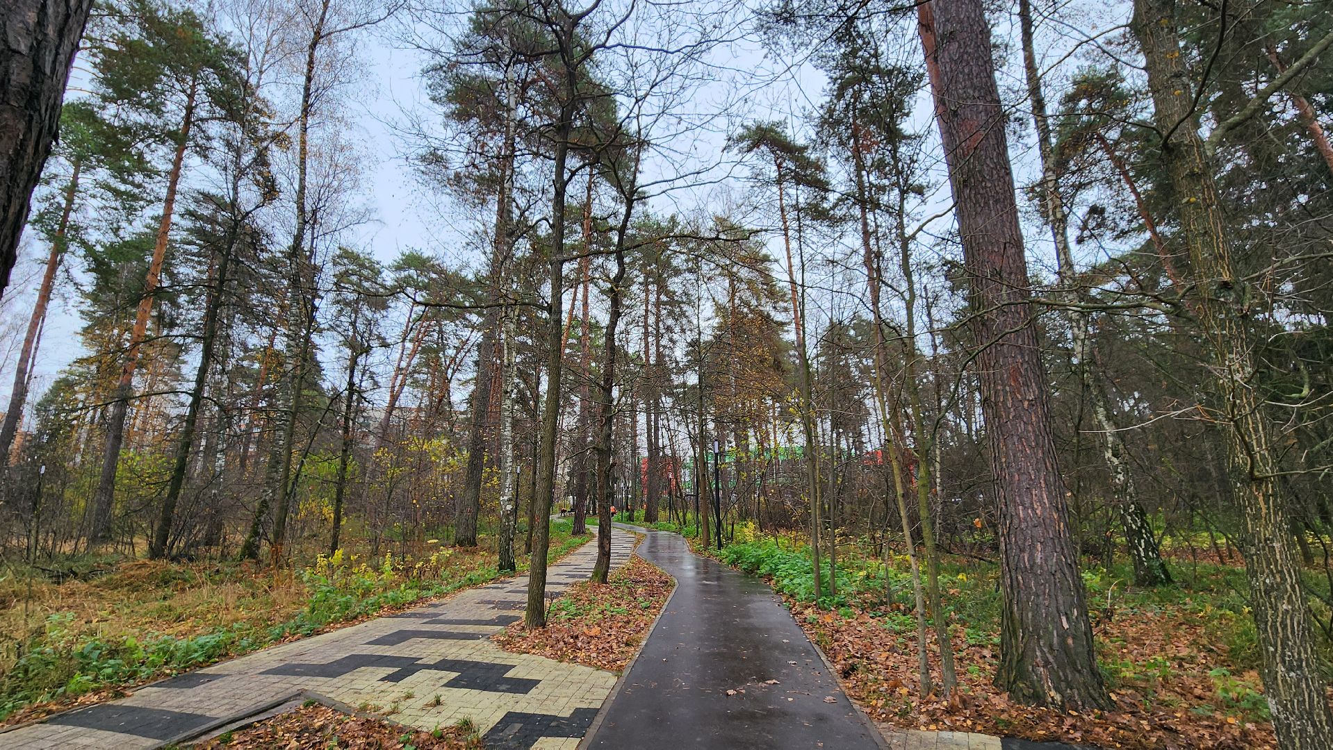 протвино, благоустройство, осенняя уборка,